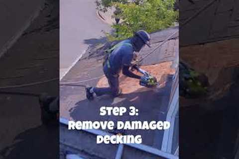 Asphalt Shingle Leak Repair with Plywood Replacement