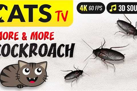 CATS TV - More & more Cockroach 🪳🙀 Game for cats 😻📺 [4K]