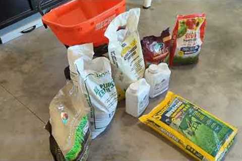 St. Augustine Grass Spring Lawn Care Program