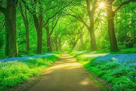 Beautiful Relaxing Music • Calming Music for Reduce Stress, Anxiety &amp; Depression, Music for..