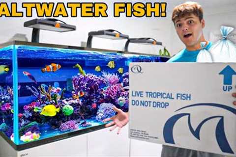 FINALLY BUYING FISH for My *NEW* 300G SALTWATER AQUARIUM!!