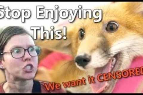 These Scientists Want to BAN Exotic Pets From Youtube