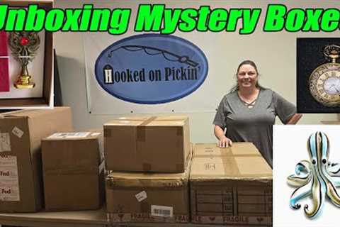 Unboxing Boxes that are a total mystery to us. This Was our most interesting unboxing to date!