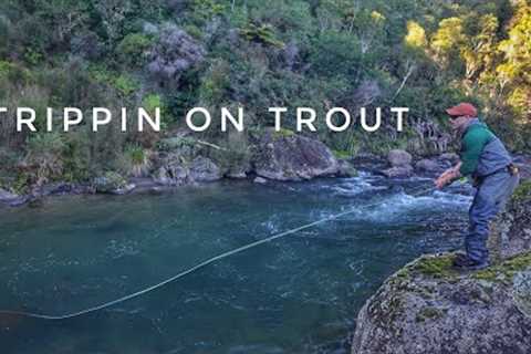 Fishing with HIM Again! Epic Backcountry Fly Fishing