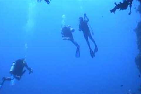 Malibu Divers Palau Scuba Diving Trip