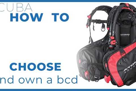 How To Choose and Own a BCD #scuba #howto
