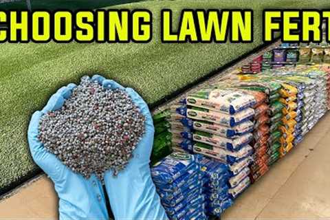 How to Choose the RIGHT FERTILIZER for your LAWN