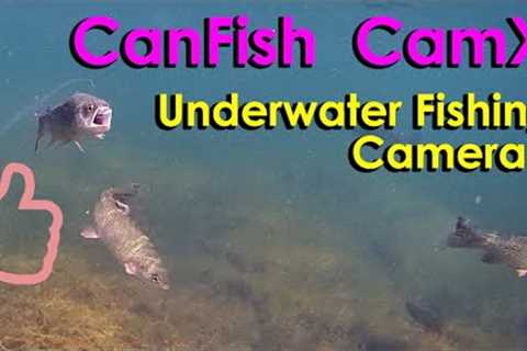 CanFish CamX Underwater Fishing Camera PRODUCT REVIEW #CanFish #FishingCamx #FishingX