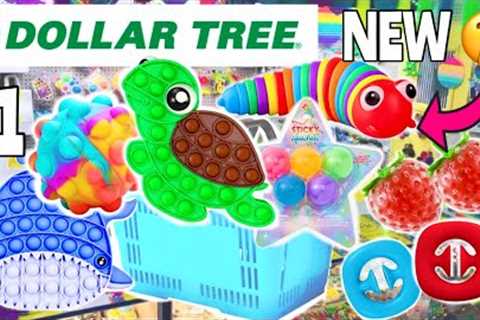 I BOUGHT EVERY NEW HIDDEN FIDGET AT DOLLAR TREE! 🤑 😱 No Budget Fidget Shopping Spree 🤫