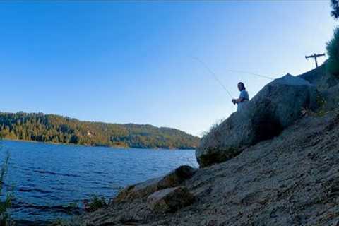 Summer FISHIN' | Big Bear Lake | Catchin' whatever bites!