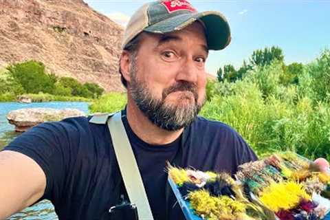 Streamers are more fun than fishing dry flies