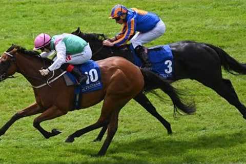Exciting Guineas prospect BABOUCHE remains unbeaten at the Curragh | Racing TV