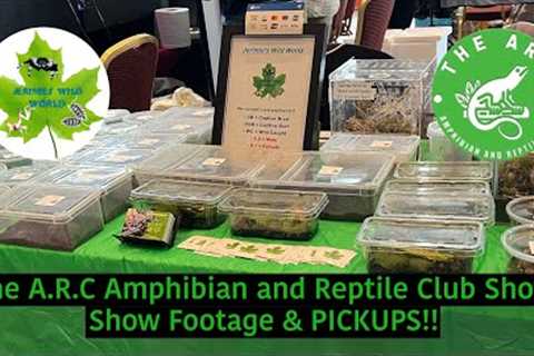 The A.R.C Amphibian and Reptile Club Show!! Show Footage &amp; PICKUPS!!