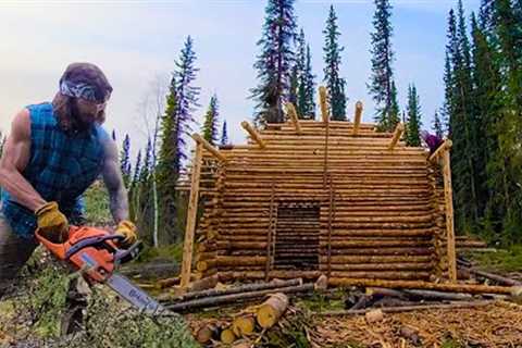 Building a Log Cabin Start to Finish | Timelapse
