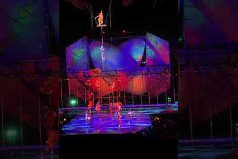 Sunny Circus Show filmed by Jose Luis Munoz in Vegas-USA.