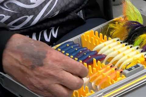 Fishing Tips 2024: Basic Bait | Lakeland News