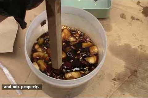 How To Make Fermented Fruit Juice FFJ