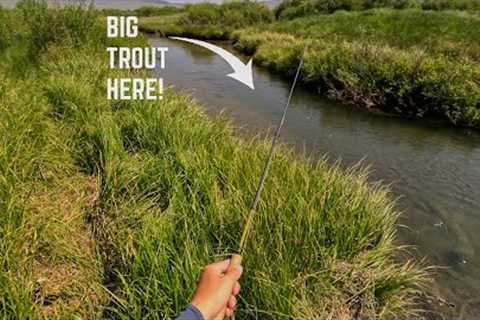 The Best Kept Secret! (Fly Fishing) 24 INCH Trout in Every Hole...