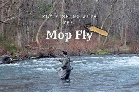 FLY FISHING with the MOP FLY | Catching big Brown Trout