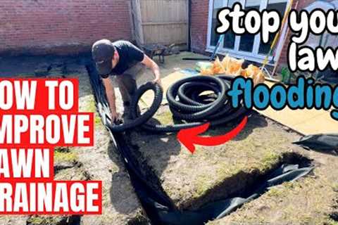 How to Improve LAWN DRAINAGE - Stop Your Lawn FLOODING