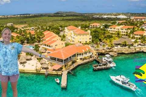 Buddy Dive Resort Bonaire Tour: The Blue Horizon Diving Tour