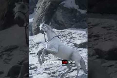 RDR2 - How you can get the best horse for free in this game