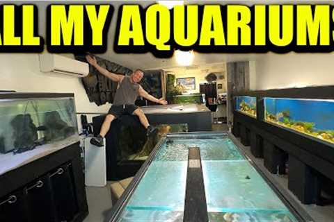EVERY AQUARIUM TOUR!! The king of DIY's fish tanks
