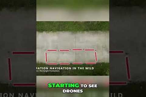 The Future of Drones: Exploring Liquid Neural Networks and Morphing Technology