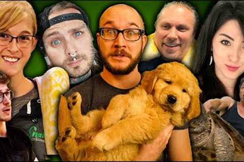 The BEST and WORST Reptile YouTubers and Their Impact On The Reptile Hobby!