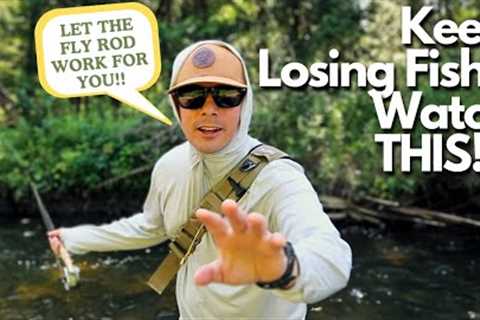 Top 6 Reasons You Lose Fish While Fly Fishing!!