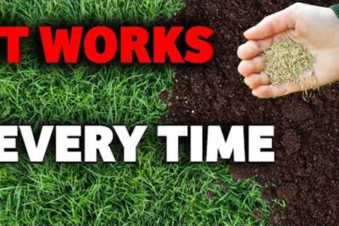The complete guide on how get a thicker lawn for beginners