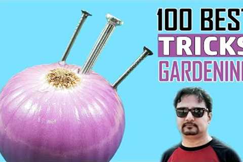 100 Best GARDENING IDEAS &amp; HACKS by Garden Tips - Beginners to Experts