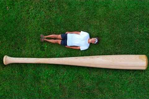 GIANT Baseball Bat VS Human