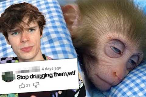 A Deep Dive Into Social Media Animal Abuse (REUPLOAD)