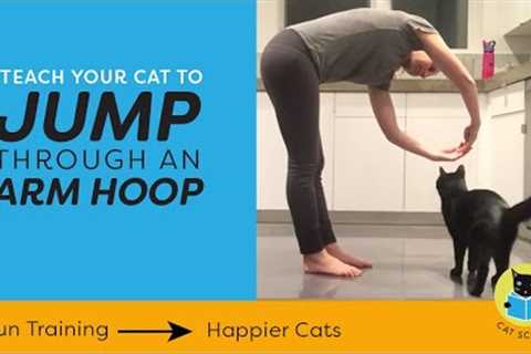 A Fun Cat Trick: Teach Your Cat To Jump Through An Arm Hoop