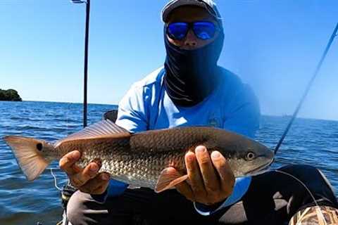 How To Catch Clean and Cook *REDFISH* On half Shell