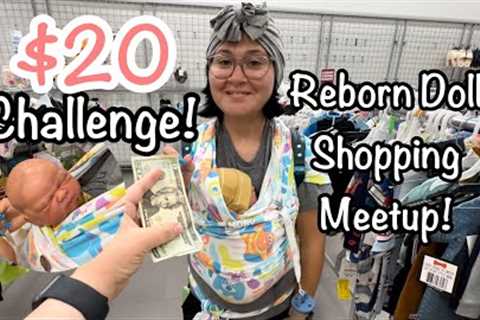 Reborn Baby $20 Shopping Challenge Meetup And Haul!