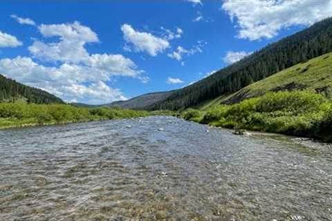 Fly fishing for Rainbow Trout in Yellowstone National Park - Part 1