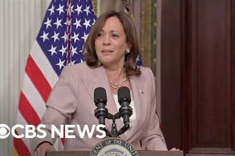Watch Kamala Harris' viral coconut tree remarks