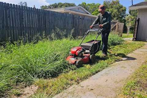 PUSH MOWING an Overgrown Lawn and BAGGING All the Clippings