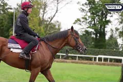 Aidan O'Brien: My Glorious Goodwood team including Kyprios, Point Lonsdale and Henry Longfellow