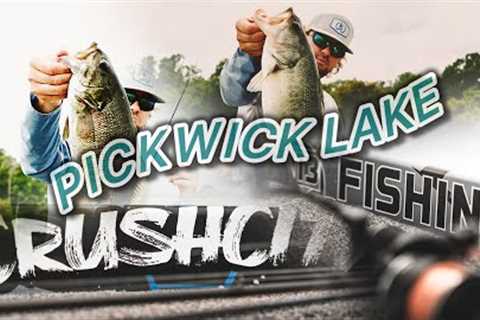 How I Break Down a Lake to win $100,000 NPFL Stop #3 Pickwick Lake Practice