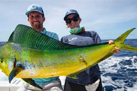Deep Sea Fishing in Miami (Dolphin, Wahoo, Amberjacks, and Tripletail)