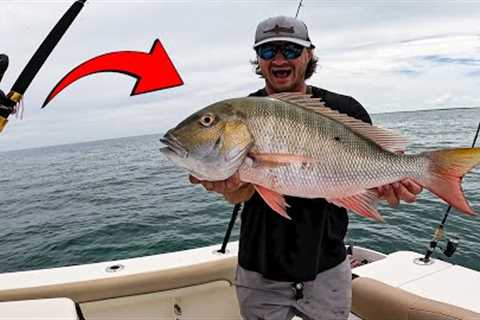 Catching a MUTTON SNAPPER on Pinfish {catch and cook}