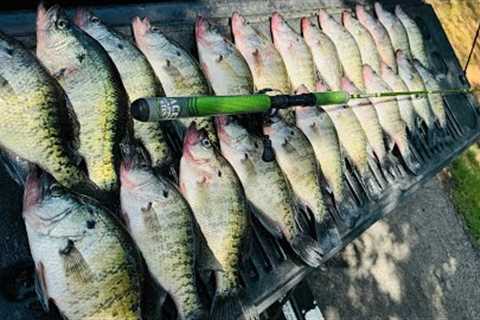 SUMMER CRAPPIE FISHING TIPS TO HELP YOU CATCH MORE CRAPPIE ALL SUMMER LONG‼️