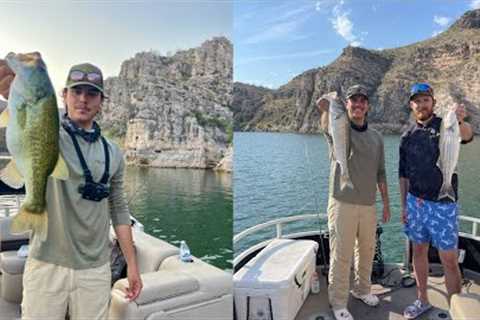 Fishing Lake Pleasant For Striper &amp; Largemouth / Pesca De Lobina En El Lago Pleasant (2024)