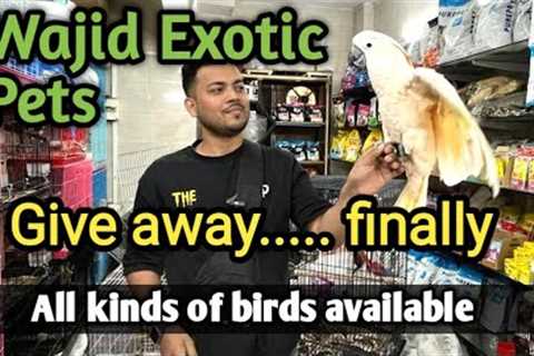 Wajid Exotic pets | New Update | Hand tamed birds | Grey Parrot | Hamster