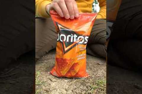 Survival bushcraft skills #bushcraft #survival #camping #outdoors #forest