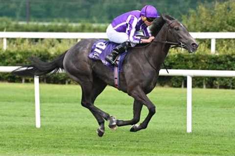 Potential star BEDTIME STORY comfortably maintains unbeaten record at Leopardstown