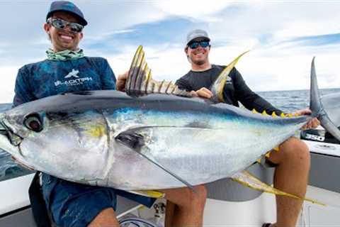 Monster Yellowfin Tuna!!